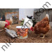 Витамини и минерали с анасон за Кокошки и други Птици 5 кг.  - IdaPlus Mineral Grit Mix